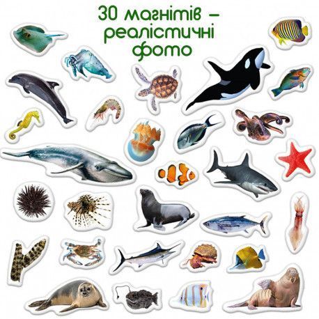 Магниты Морские животные (реалистичные фото) Набор для раннего развития Magdum ML4031-28 фото