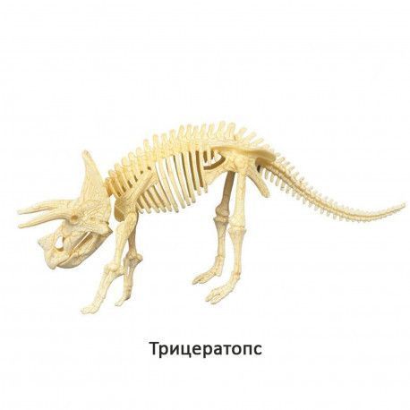 Конструктор скелет Трицератопс Mideer Toys MD0120 фото