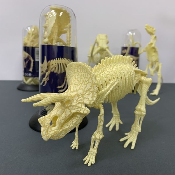 Конструктор скелет Трицератопс Mideer Toys MD0120 фото