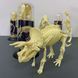Конструктор скелет Трицератопс Mideer Toys MD0120 фото 5