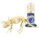 Конструктор скелет Трицератопс Mideer Toys MD0120 фото 1