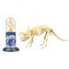 Конструктор скелет Трицератопс Mideer Toys MD0120 фото 6