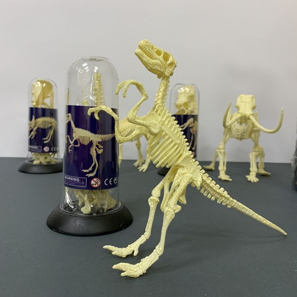 Конструктор скелет Велоцираптор Mideer Toys MD0123 фото