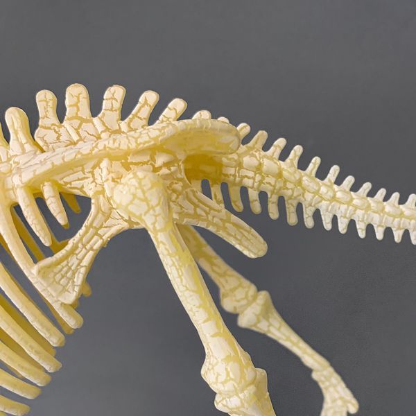 Конструктор скелет Велоцираптор Mideer Toys MD0123 фото