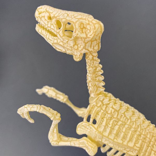 Конструктор скелет Велоцираптор Mideer Toys MD0123 фото