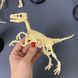 Конструктор скелет Велоцираптор Mideer Toys MD0123 фото 2