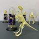 Конструктор скелет Велоцираптор Mideer Toys MD0123 фото 5