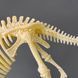 Конструктор скелет Велоцираптор Mideer Toys MD0123 фото 6