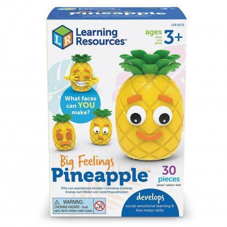 Набор Эмоциональный Ананас Джо Learning Resources LER6373 фото