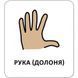 Карточки с пиктограммами Гигиена Мое тело Кенгуру КН1914003УА фото 2
