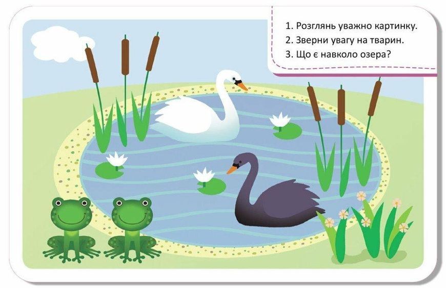 Игра запоминалка Мир вокруг (20 карточек) Кенгуру КН1664001У фото