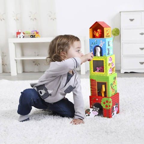 Пирамидка кубики Ферма Tooky Toy TKF053 фото