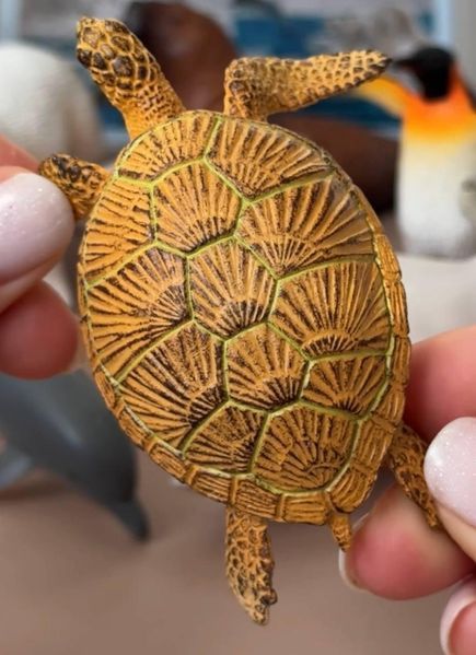 Набір реалістичних фігурок Морські тварини Mideer Toys (11 шт) MD2251 фото