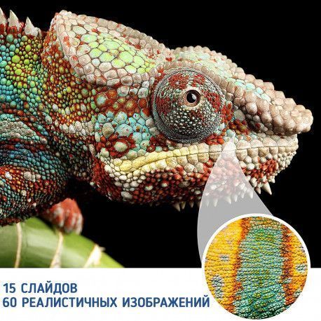 Дитячий мікроскоп зі слайдами Серія Geosafari Learning Resources EI-5117 фото