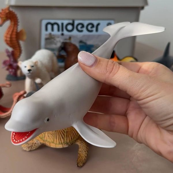 Набір реалістичних фігурок Морські тварини Mideer Toys (11 шт) MD2251 фото