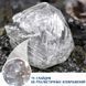 Дитячий мікроскоп зі слайдами Серія Geosafari Learning Resources EI-5117 фото 7
