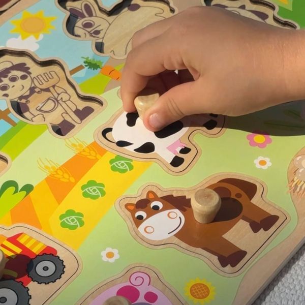 Рамка вкладыш Ферма деревянная Tooky Toy TY858 фото