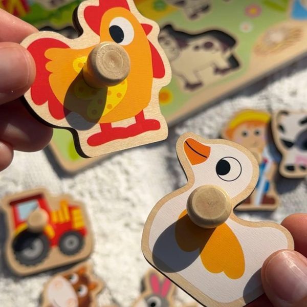 Рамка вкладыш Ферма деревянная Tooky Toy TY858 фото