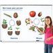 Демонстрационный набор на магнитах Цикл жизни Растения Learning Resources LER6045 фото 5