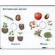 Демонстрационный набор на магнитах Цикл жизни Растения Learning Resources LER6045 фото 3