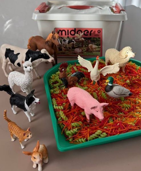 Набір реалістичних фігурок Ферма (11 шт) Mideer Toys MD2263 фото