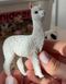 Набір реалістичних фігурок Ферма (11 шт) Mideer Toys MD2263 фото 9