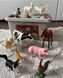 Набір реалістичних фігурок Ферма (11 шт) Mideer Toys MD2263 фото 2
