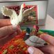 Набір реалістичних фігурок Ферма (11 шт) Mideer Toys MD2263 фото 5