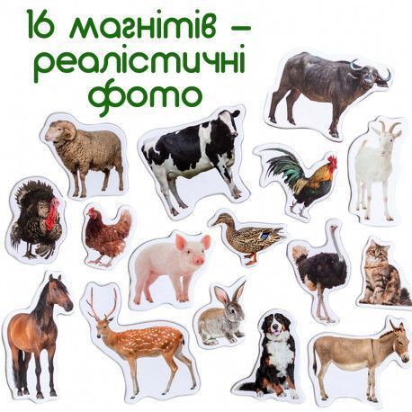 Магниты Ферма (реалистичные фото) Набор для раннего развития Magdum ML4031-04 фото