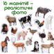 Магниты Ферма (реалистичные фото) Набор для раннего развития Magdum ML4031-04 фото 2