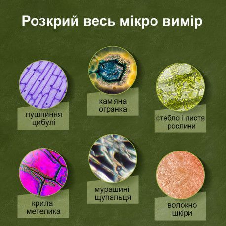 Дитячий мікроскоп з набором інструментів Mideer Toys MD2227 фото
