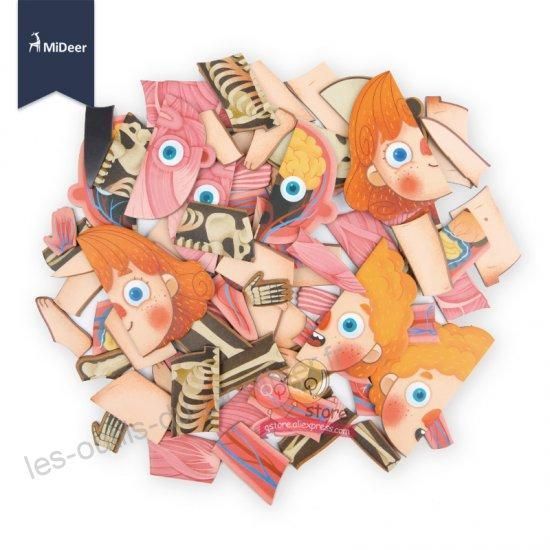 Магнитный пазл Тело человека Mideer Toys CT7013 фото