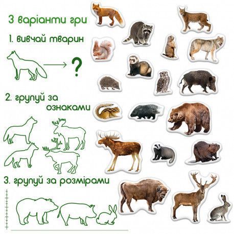 Магниты Лесные животные (реалистичные фото) Набор для раннего развития Magdum ML4031-29 фото