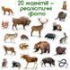 Магниты Лесные животные (реалистичные фото) Набор для раннего развития Magdum ML4031-29 фото 2