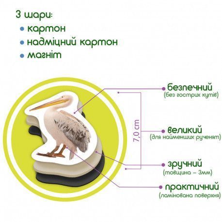 Магниты Птицы (реалистичные фото) Набор для раннего развития Magdum ML4031-30 фото