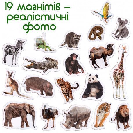 Магниты Дикие животные (реалистичные фото) Набор для раннего развития ML4031-02 фото