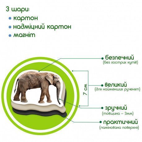 Магниты Дикие животные (реалистичные фото) Набор для раннего развития ML4031-02 фото