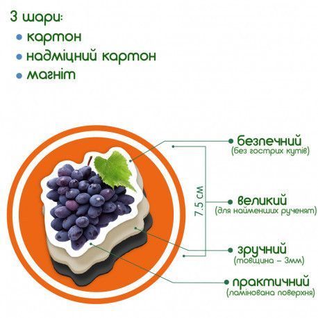 Магніти Фрукти та ягоди (реалістичні фото) Набір для раннього розвитку Magdum ML4031-11 фото